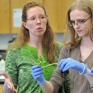 Stacey  Lettini, PhD