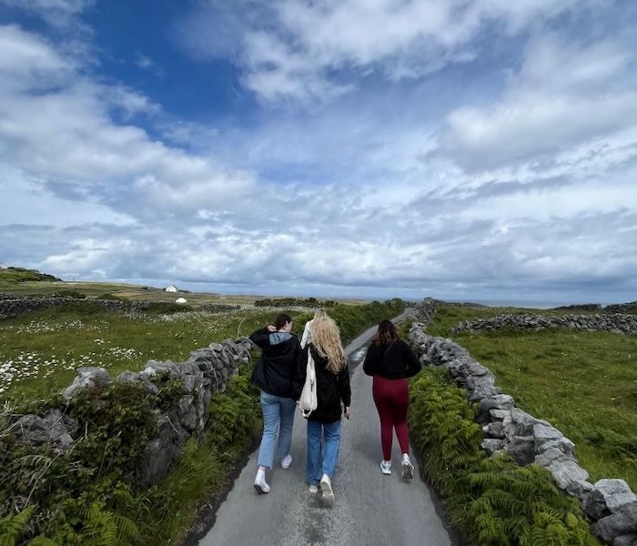 BSN Study Abroad Program in Ireland
