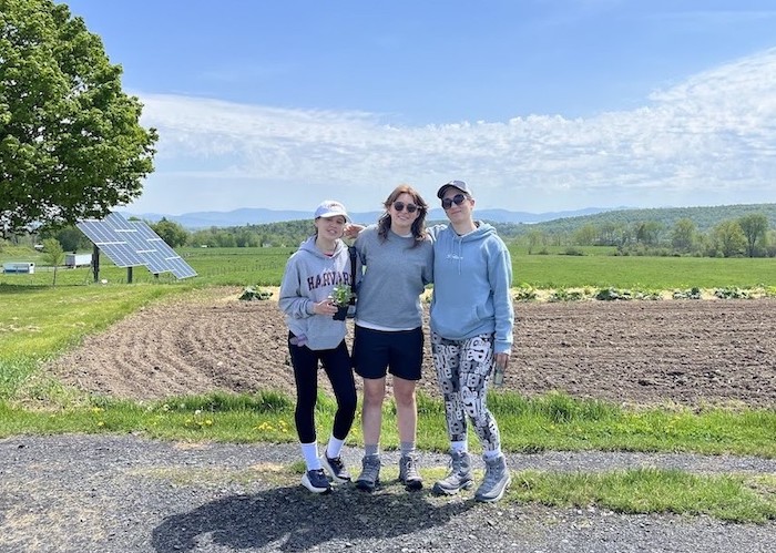 Alternative Summer Break in Vermont