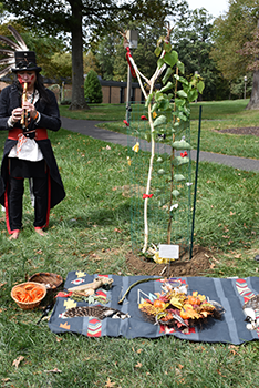 GMercyU Tree