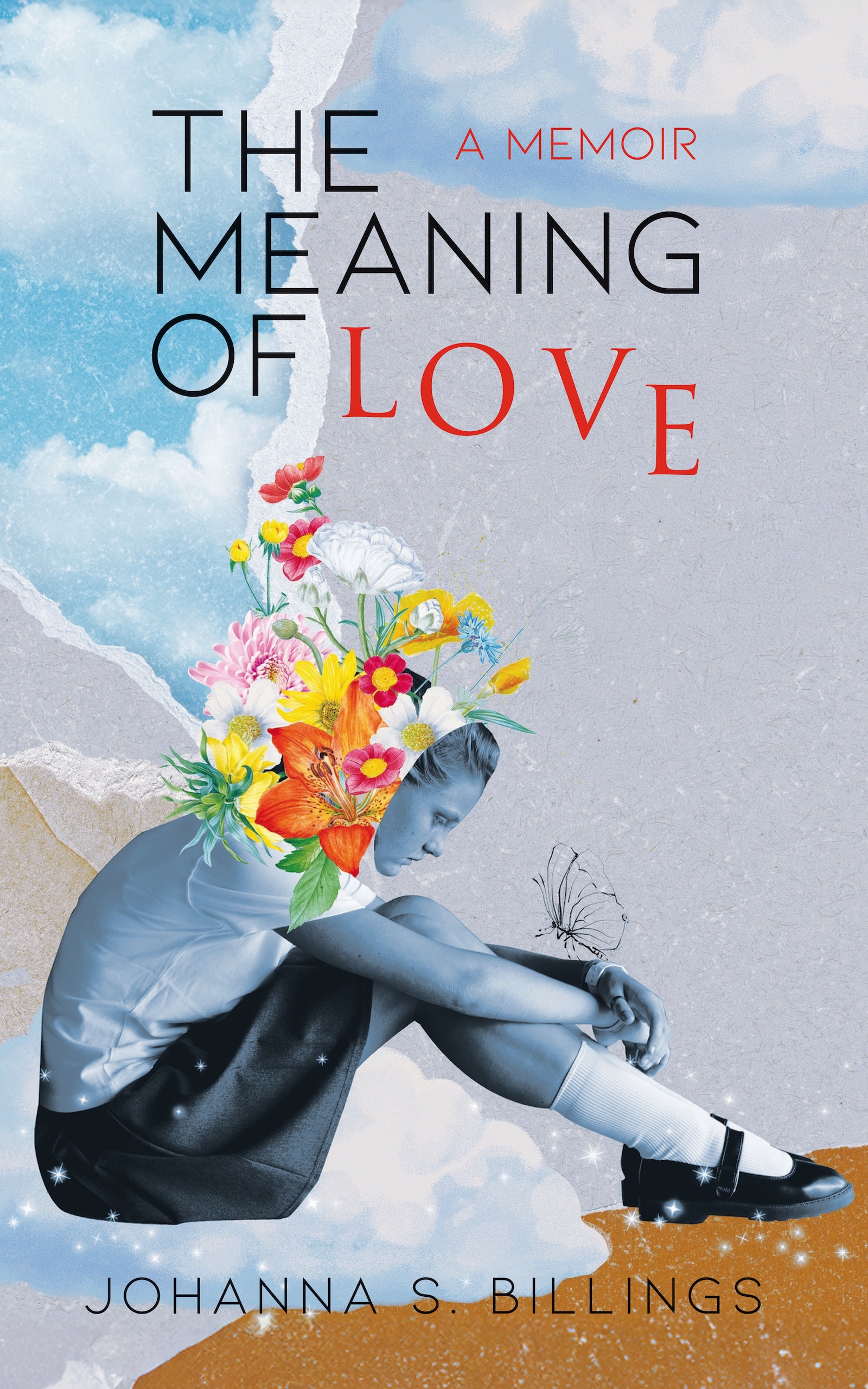 The Meaning of Love Memoir Cover