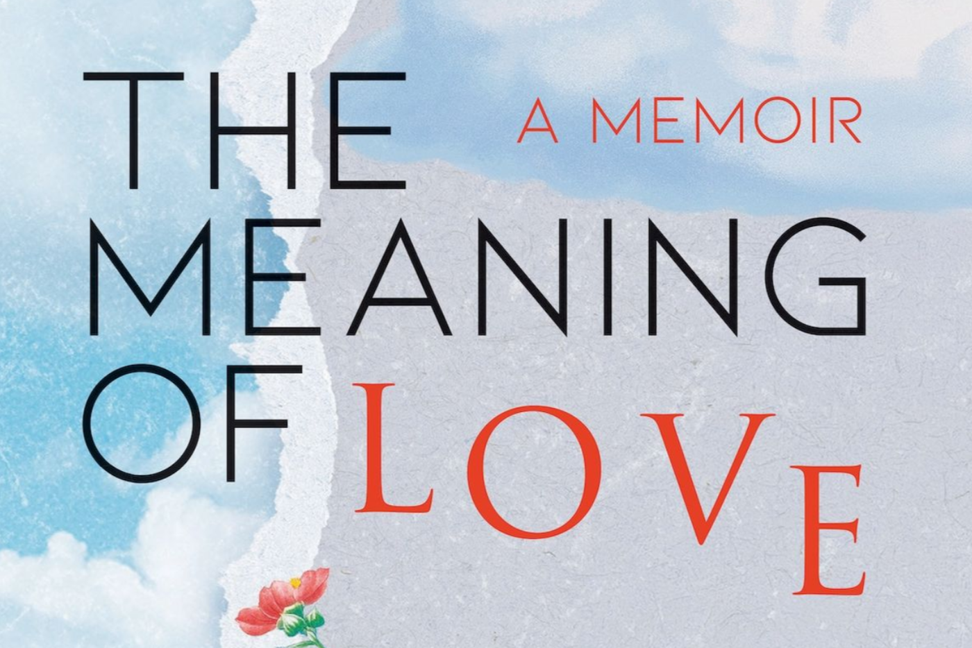The Meaning of Love Memoir Book Cover