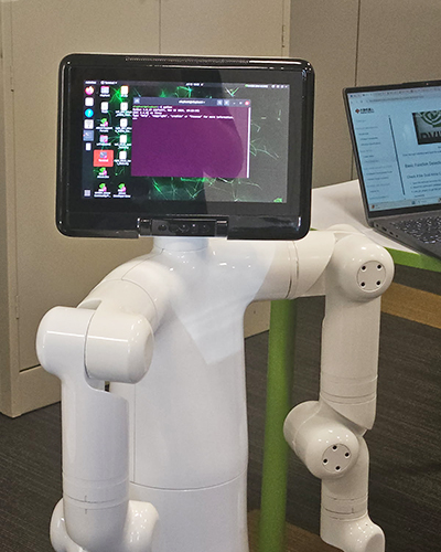 Humanoid robot