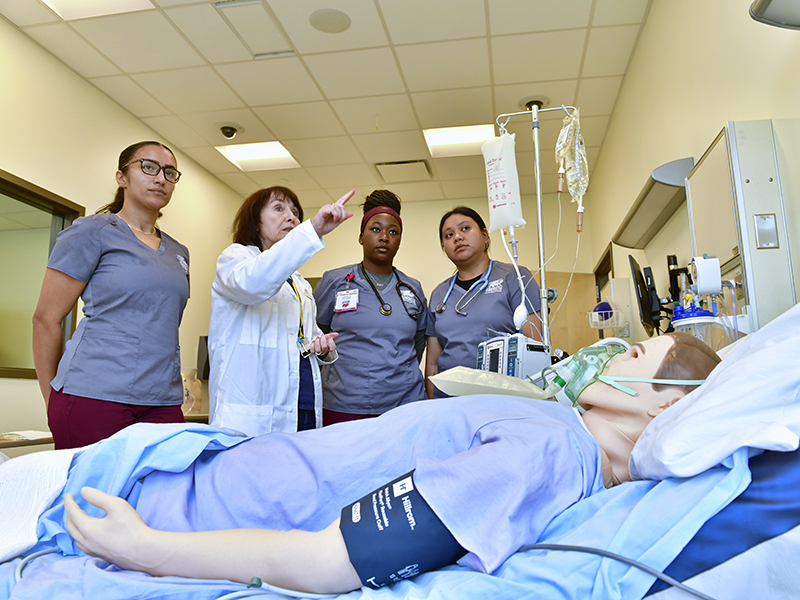 Accelerated BSN degree students