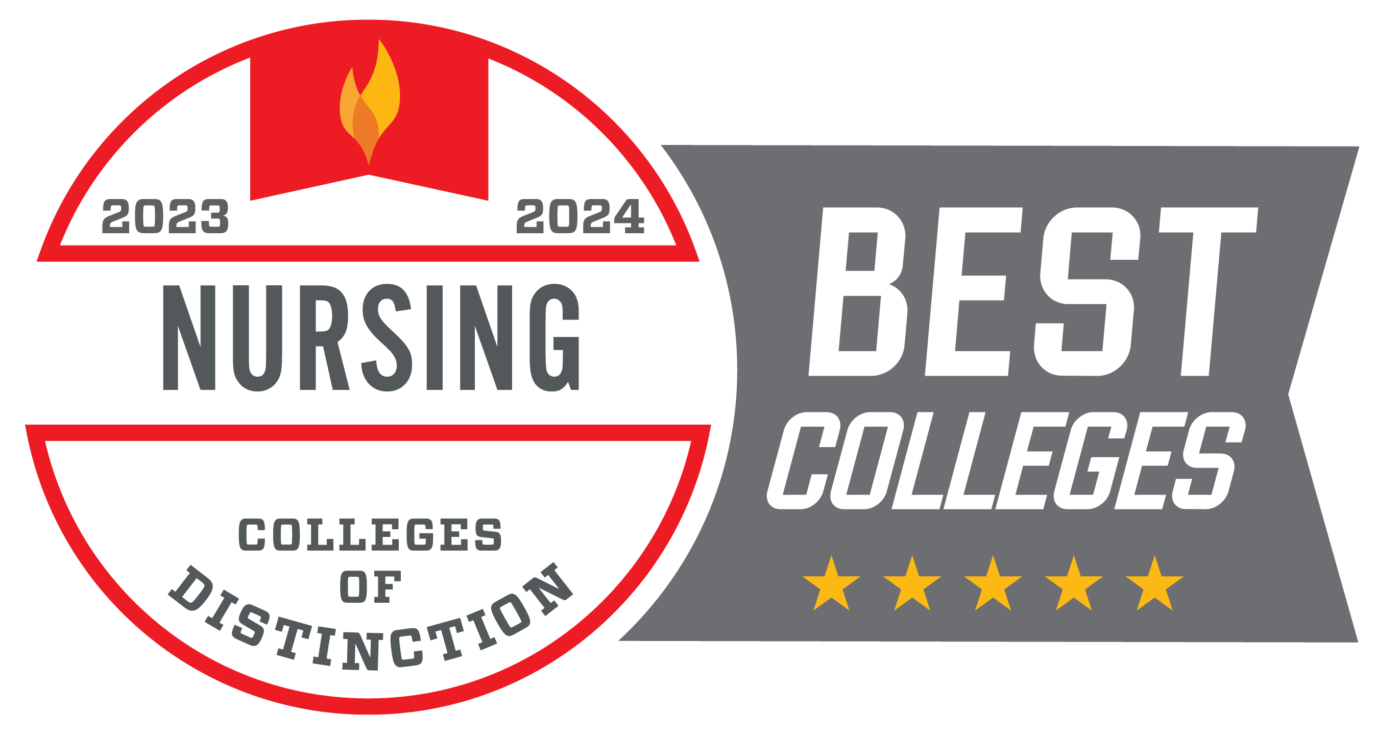 Best Nursing College