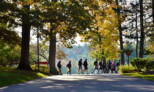 Study at GMercyU 