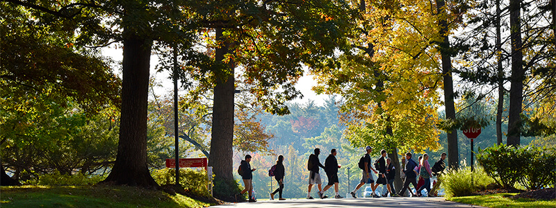 Transfer Student Instant Decision Day