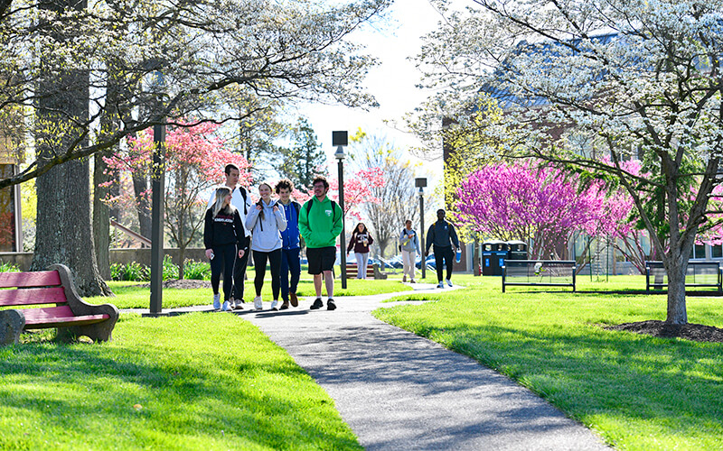Accepted students' next step