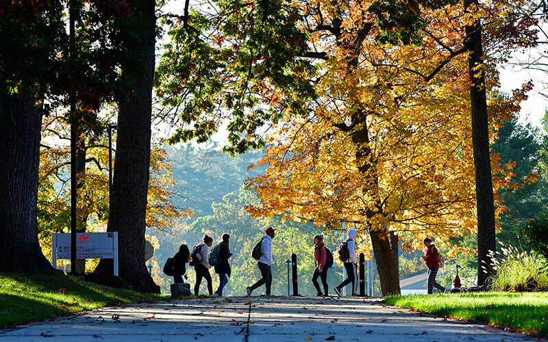 Transfer to GMercyU