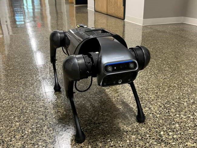 cyberdog