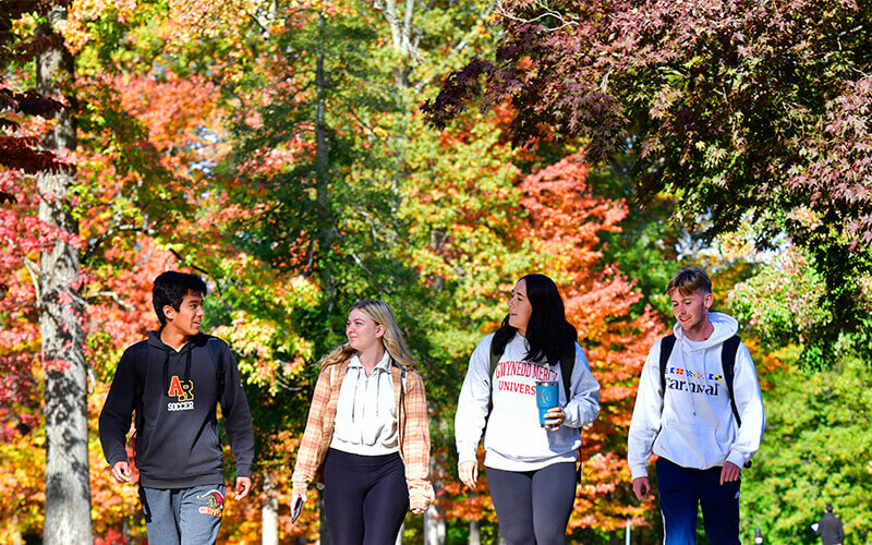 campus in the fall