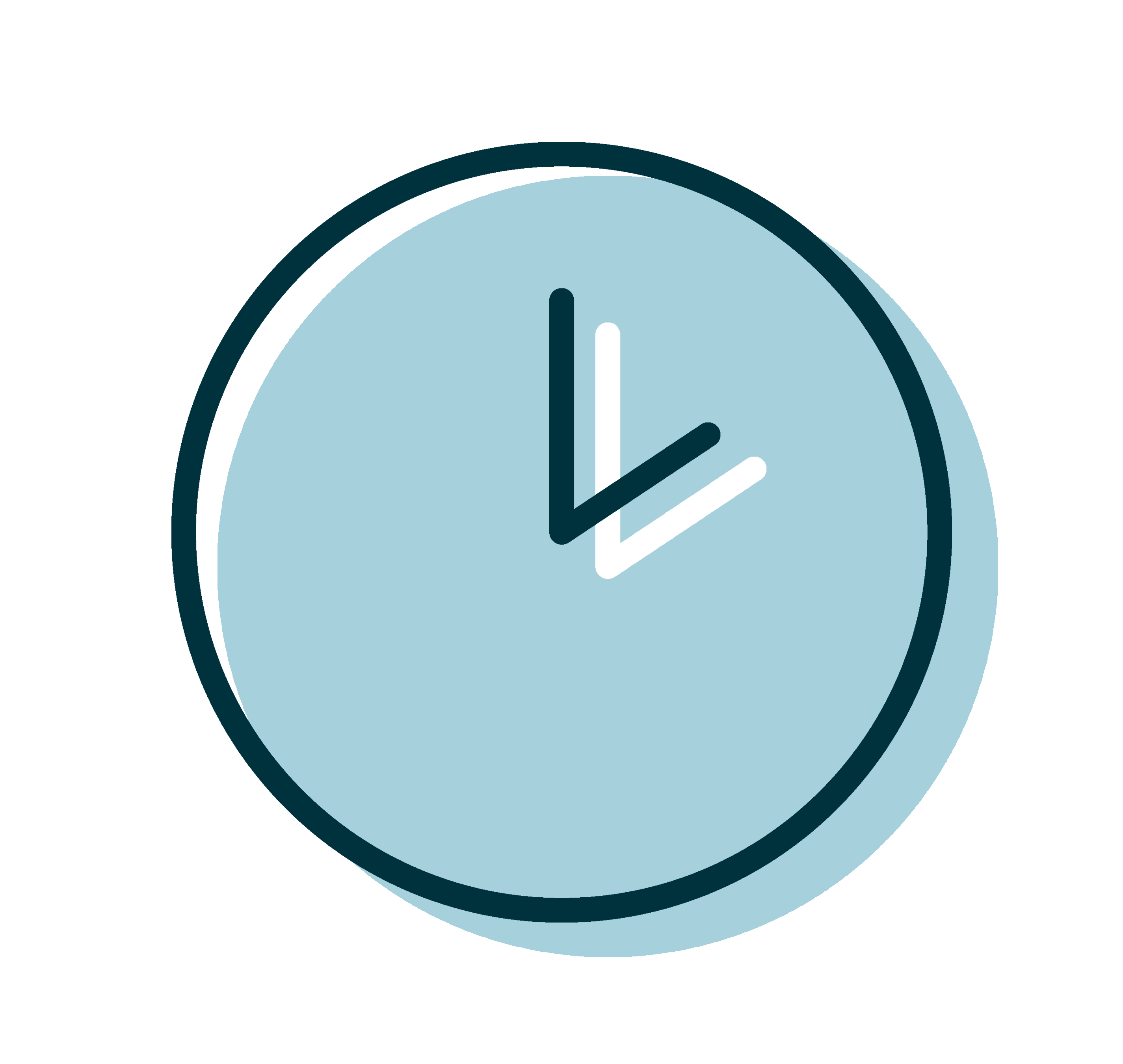 Program length