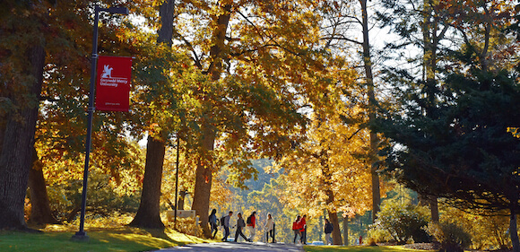 Students Walking in the Fall