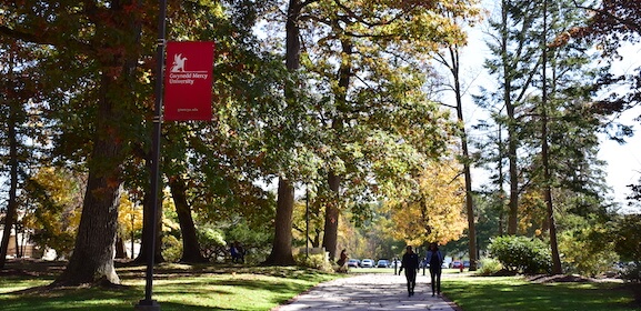 Students Studying Outside McAuley