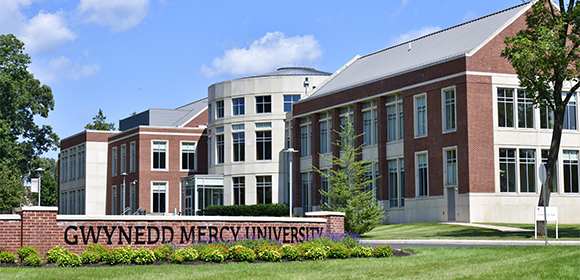 GMercyU at a Glance