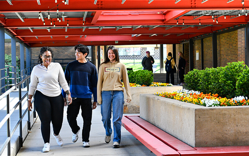 Accepted students' next step