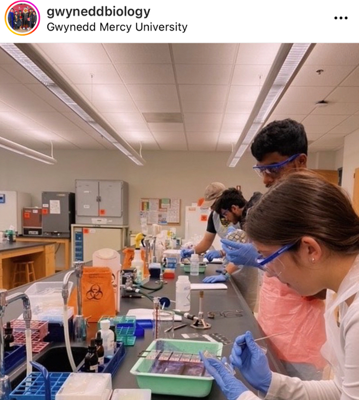 GMercyU Biology Instagram